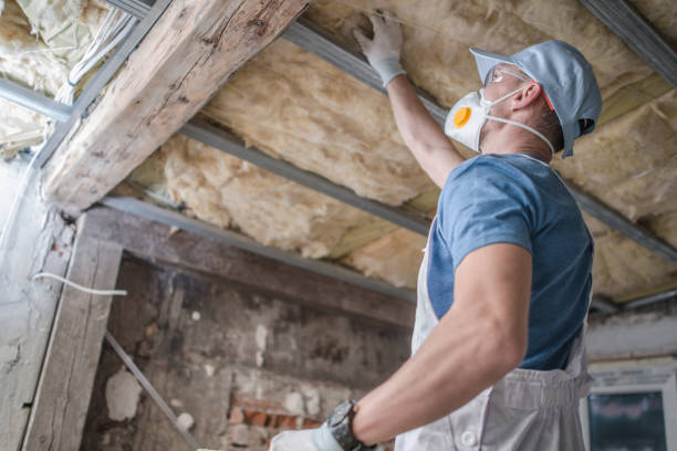 Types of Insulation We Offer in Clawson, MI