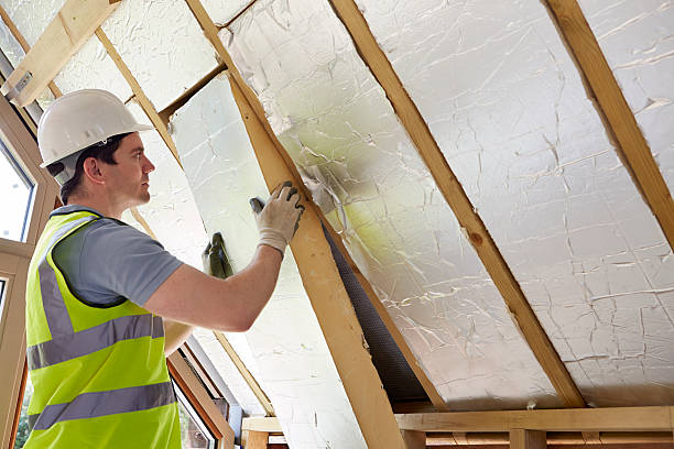Best Geographic-Specific Insulation Services in Clawson, MI