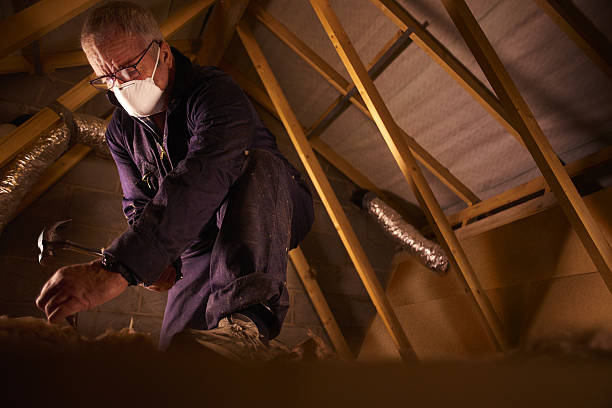 Best DIY Insulation Kits and Guidance in Clawson, MI
